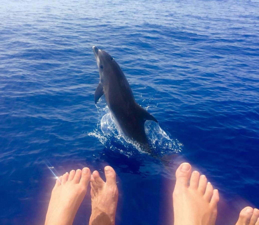 Apartamento Playa Ciudad Santa Cruz de la Palma  Dış mekan fotoğraf